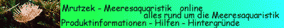 mrutzek meeresaquaristik