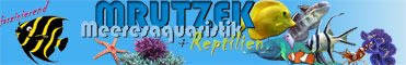 logo_468_60